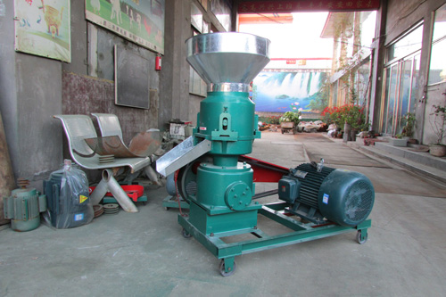 300���w���C